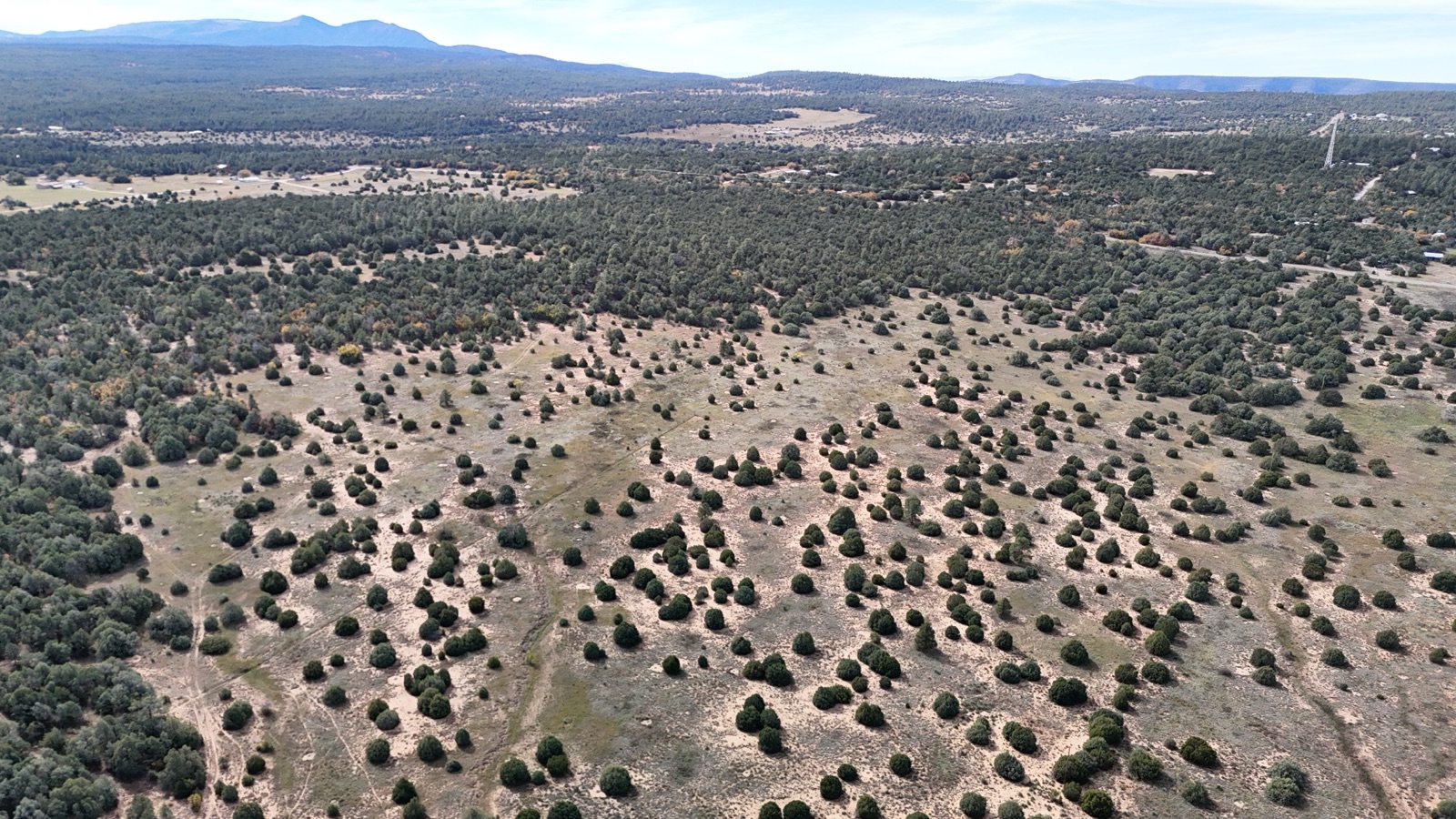 aerial drone photo of East Mountains acreage listing near Albuquerque NM