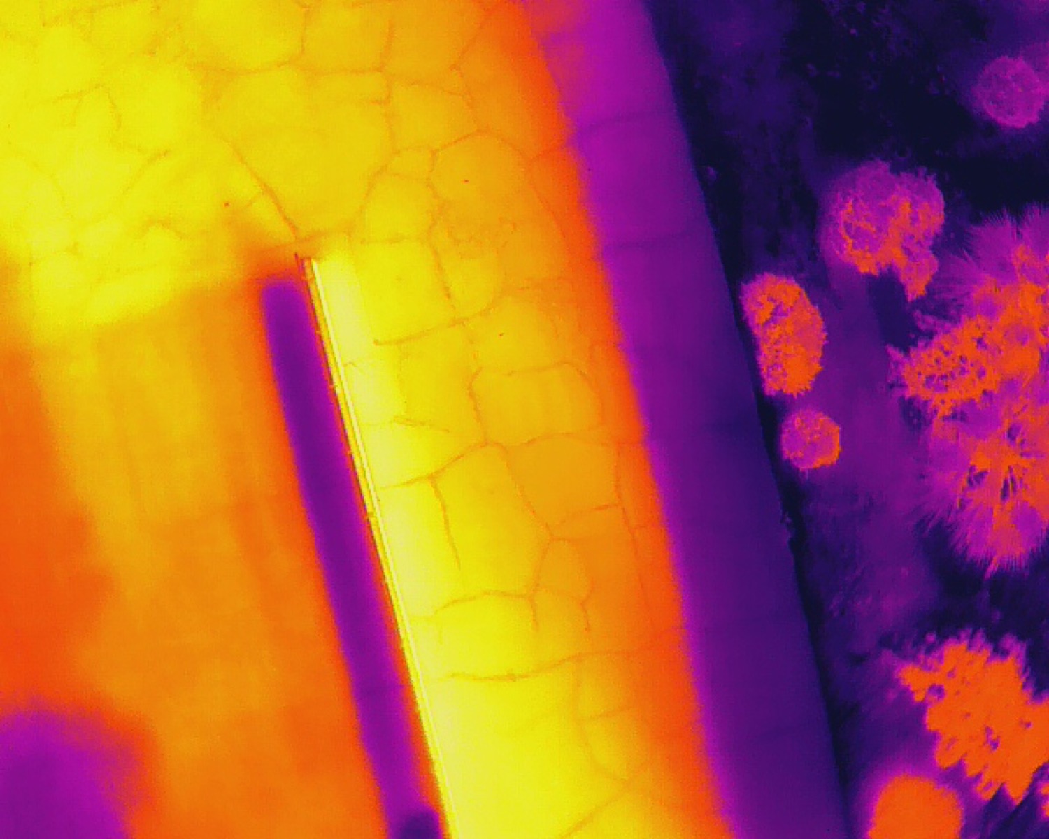 Radiometric thermal drone image of rooftop equipment heat signatures on a west Phoenix commercial roof